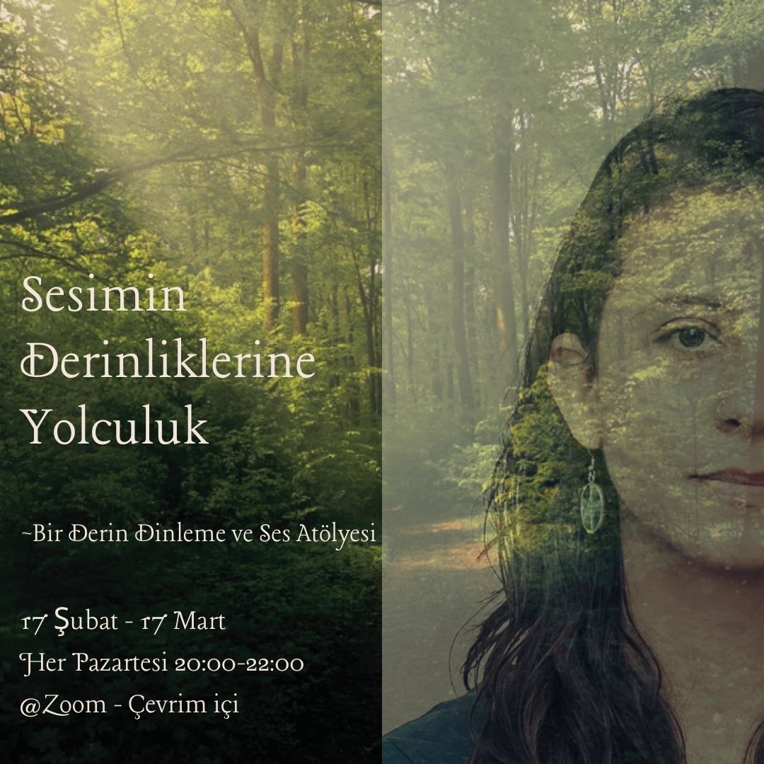 Sesimin Derinliklerine Yolculuk