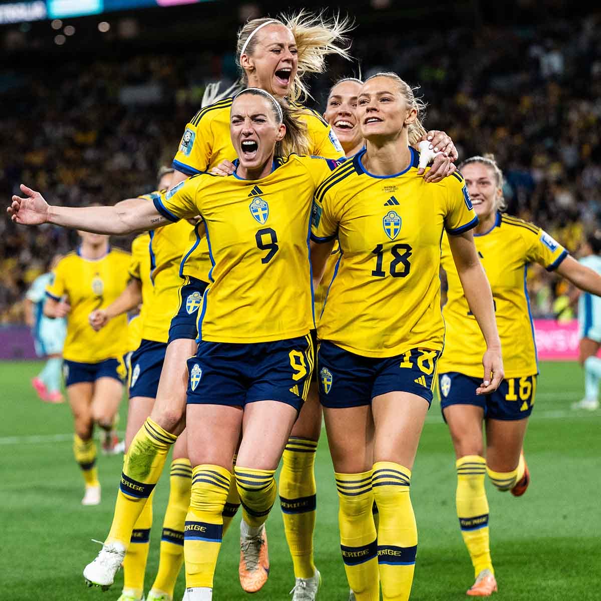 Fotbolls EM på bion! Sverige - Danmark 18.00!