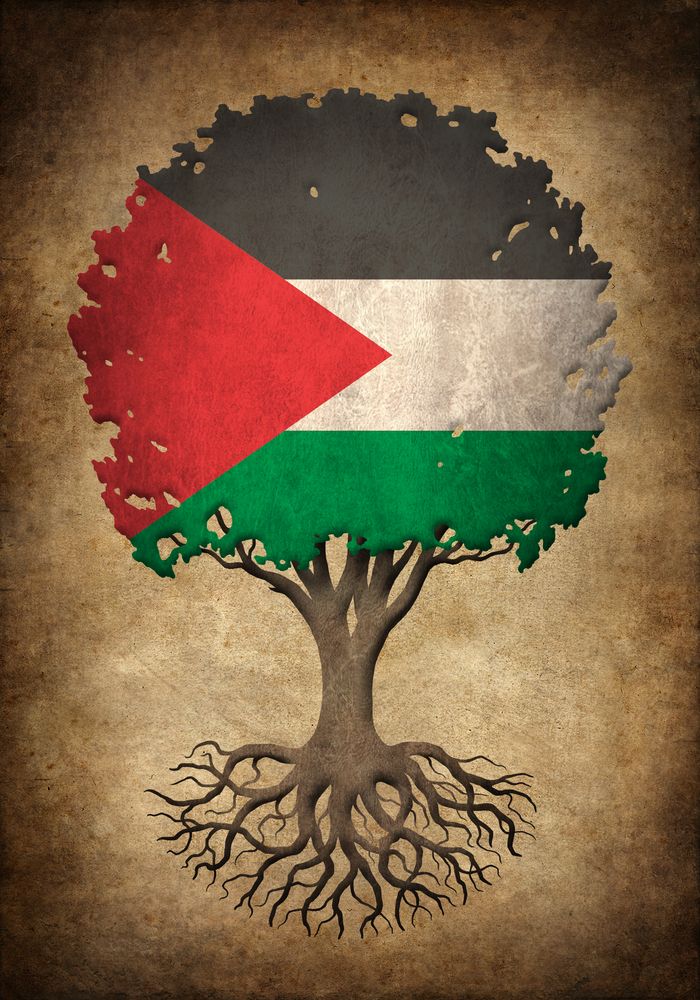 Stödkväll för Gaza