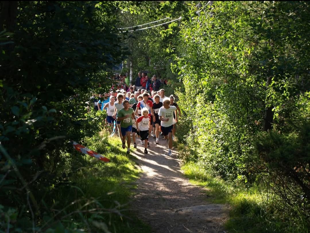 Kaprifoljoggen
