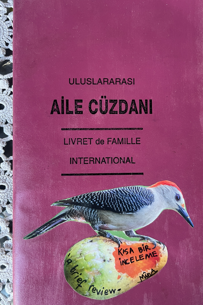 2025, “Kısa Bir İnceleme”