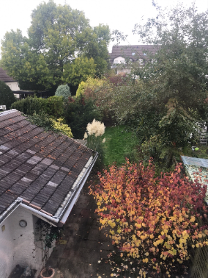 Mitbewohner*innen gesucht