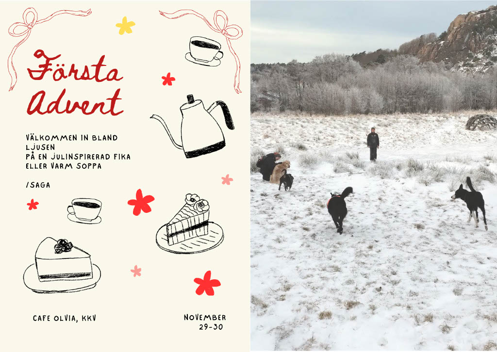 Café Olivia - 1a advent