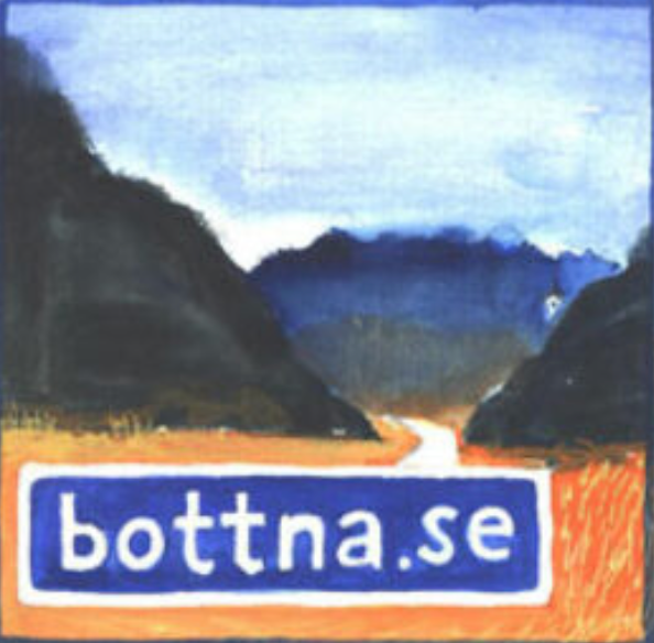 Nationaldagsfirande i Bottna