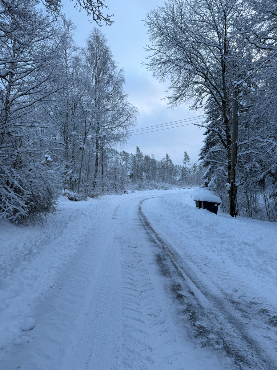 Samtal om svensk skogsbrukspolitik