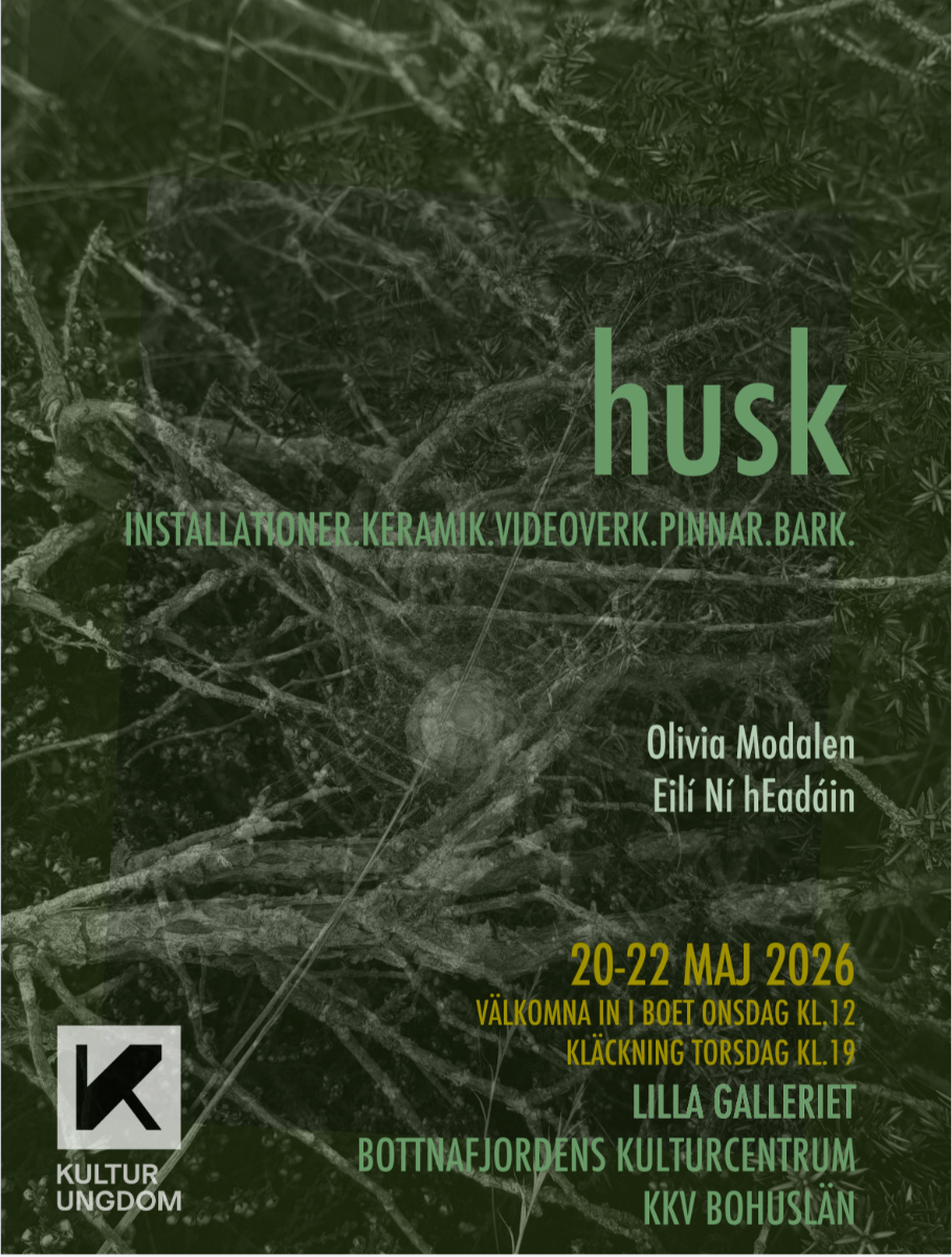 husk - INSTALLATIONER.KERAMIK.VIDEOVERK.PINNAR.BARK.