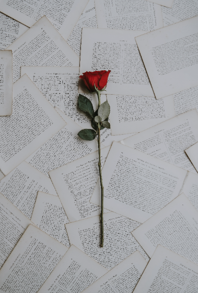 100-Hour Mystical Love Poetry Training